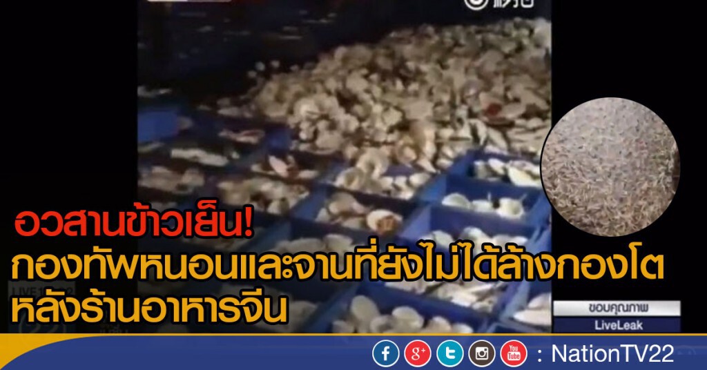 กองทัพหนอนและจานที่ยังไม่ได้ล้างกองโต กองทัพหนอนและจานที่ยังไม่ได้ล้างกองโต