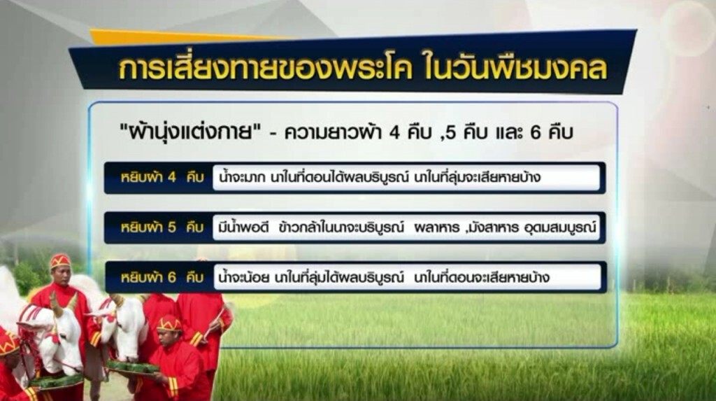 ชาวนามีความหวังปีนี้ได้ผลผลิตดี