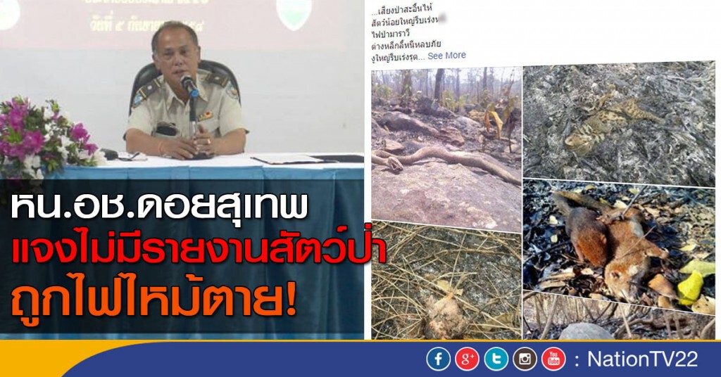 หน.อช.ดอยสุเทพ แจงไม่มีรายงานสัตว์ป่าถูกไฟไหม้ตาย หน.อช.ดอยสุเทพ แจงไม่มีรายงานสัตว์ป่าถูกไฟไหม้ตาย