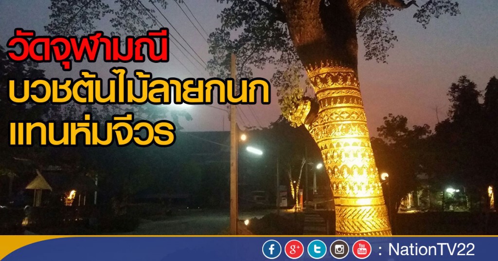 (พิษณุโลก) วัดจุฬามณี บวชต้นไม้ลายกนก แทนห่มจีวร