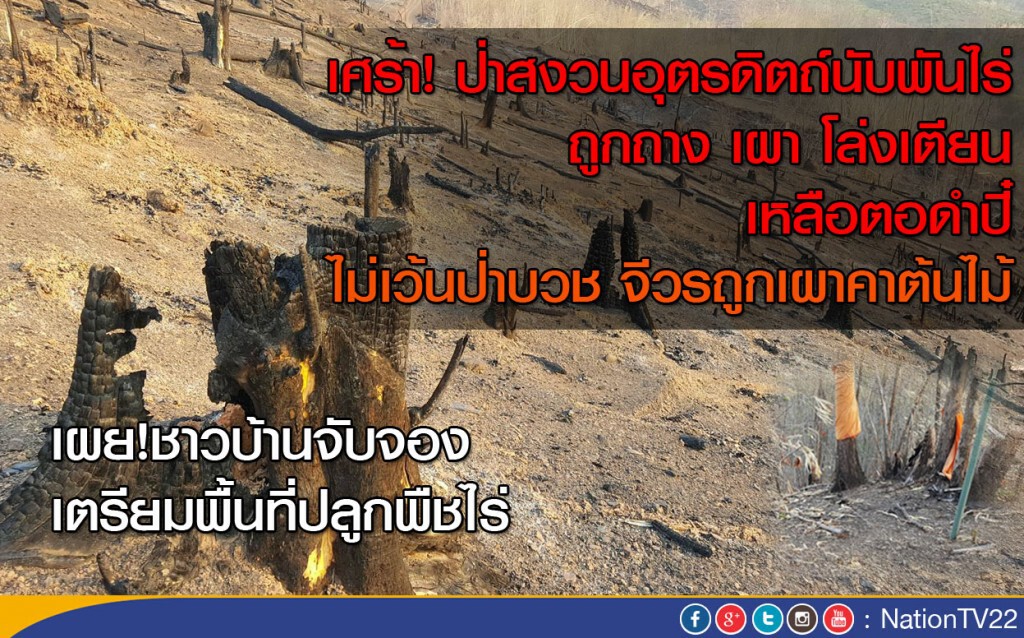 เศร้า! ป่าสงวนอุตรดิตถ์นับพันไร่ ถูกถาง-เผา "เหลือตอดำปี๋" เศร้า! ป่าสงวนอุตรดิตถ์นับพันไร่ ถูกถาง-เผา "เหลือตอดำปี๋"