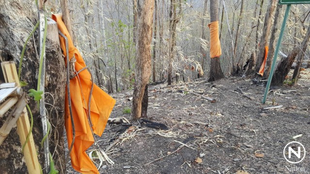 เศร้า! ป่าสงวนอุตรดิตถ์นับพันไร่ ถูกถาง-เผา "เหลือตอดำปี๋"