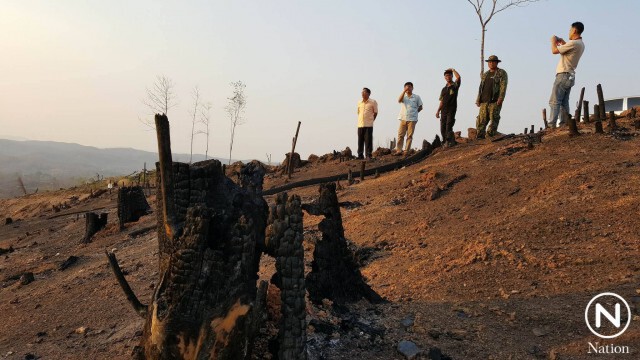 เศร้า! ป่าสงวนอุตรดิตถ์นับพันไร่ ถูกถาง-เผา "เหลือตอดำปี๋"