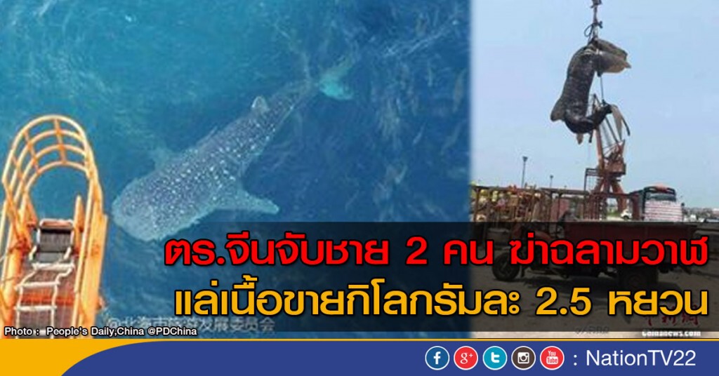 "ตร.จีน" จับชาย 2 คนคดีฆ่าฉลามวาฬ "ตร.จีน" จับชาย 2 คนคดีฆ่าฉลามวาฬ