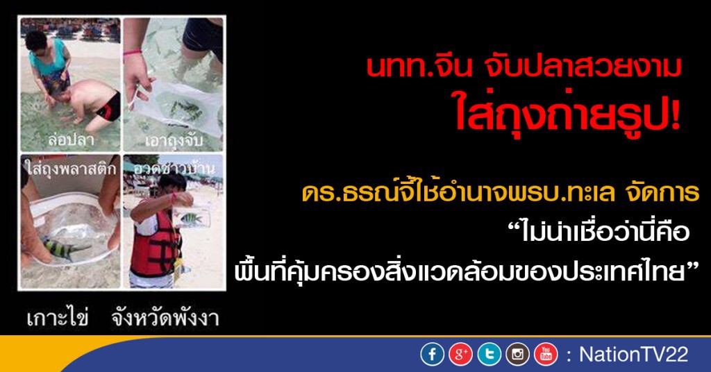 นักท่องเที่ยวจีน จับปลาสวยงามใส่ถุงถ่ายรูป นักท่องเที่ยวจีน จับปลาสวยงามใส่ถุงถ่ายรูป