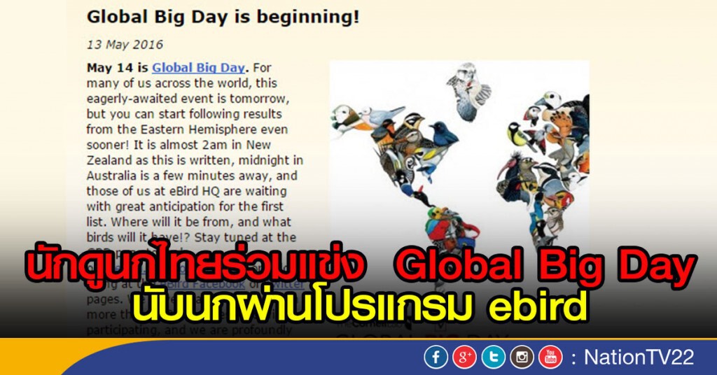 นักดูนกไทยร่วมแข่ง Global Big Day
นับนกผ่านโปรแกรม ebird นักดูนกไทยร่วมแข่ง Global Big Day
นับนกผ่านโปรแกรม ebird