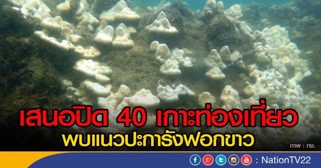 เสนอปิด 40 เกาะท่องเที่ยว พบแนวปะการังฟอกขาว