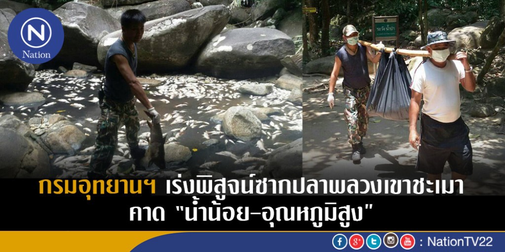 กรมอุทยานฯ เร่งพิสูจน์ซากปลาพลวงเขาชะเมา กรมอุทยานฯ เร่งพิสูจน์ซากปลาพลวงเขาชะเมา