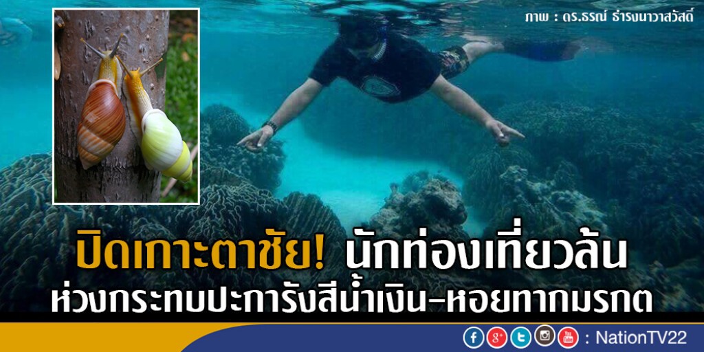 ปิดเกาะตาชัย! นักท่องเที่ยวล้น ห่วงกระทบปะการังสีน้ำเงิน-หอยทากมรกต ปิดเกาะตาชัย! นักท่องเที่ยวล้น ห่วงกระทบปะการังสีน้ำเงิน-หอยทากมรกต