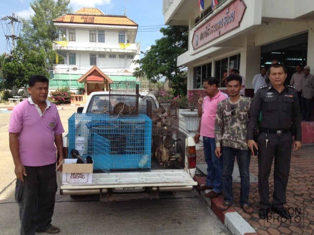 กรมอุทยานฯเสนอเพิ่มโทษรุนแรง!
 "กฎหมายค้าสัตว์ป่า" 
หลังคนร้ายเหิมขโมยลูกนกเงือก