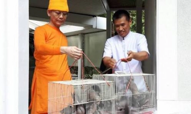 "ดีเอสไอ" สอบหลักฐาน ภาพธัมมชโย "ปล่อยนก-ยืนได้"