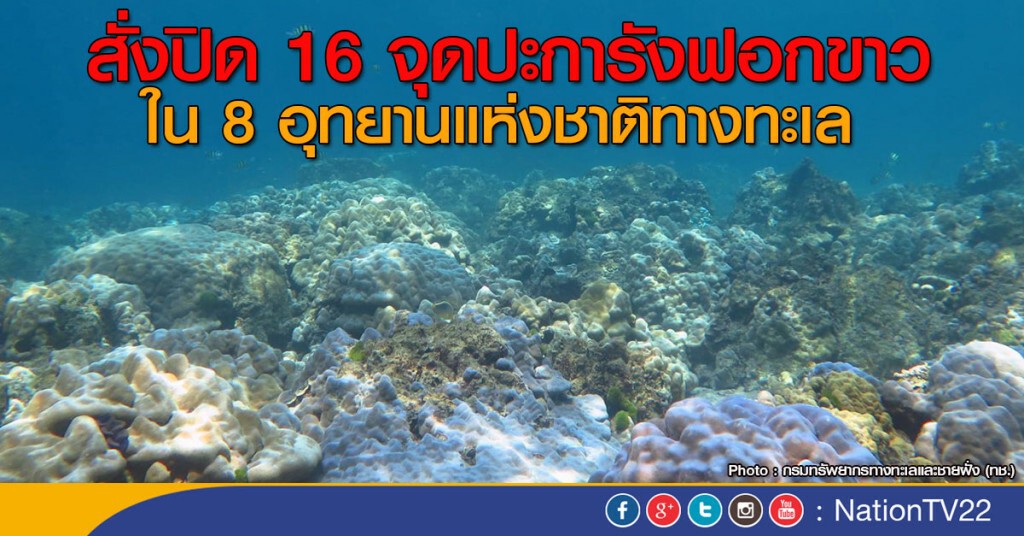 สั่งปิด 16 จุดปะการังฟอกขาว ใน 8 อุทยานแห่งชาติทางทะเล สั่งปิด 16 จุดปะการังฟอกขาว ใน 8 อุทยานแห่งชาติทางทะเล