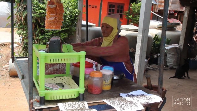 ชาวขอนแก่นเดือดร้อนหนัก!  ฝูงแมลงวันอาละวาด
ต้องกางมุ้งกิน-นอน คาดมาจาก"ฟาร์มเลี้ยงไก่"