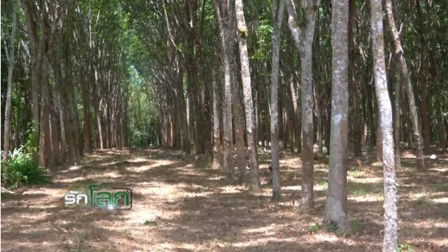 รักโลก ตอน เปิดเรือนหอ "แต้วแล้วท้องดำ" คู่สุดท้าย!