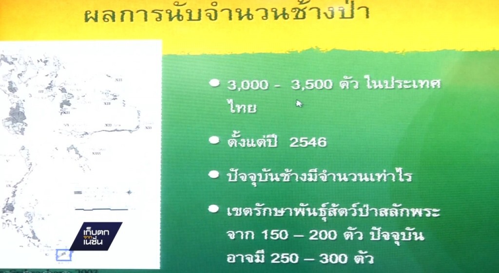 ห่วงช้างป่าเพิ่ม 10% สวนทางป่าอนุรักษ์ ห่วงช้างป่าเพิ่ม 10% สวนทางป่าอนุรักษ์