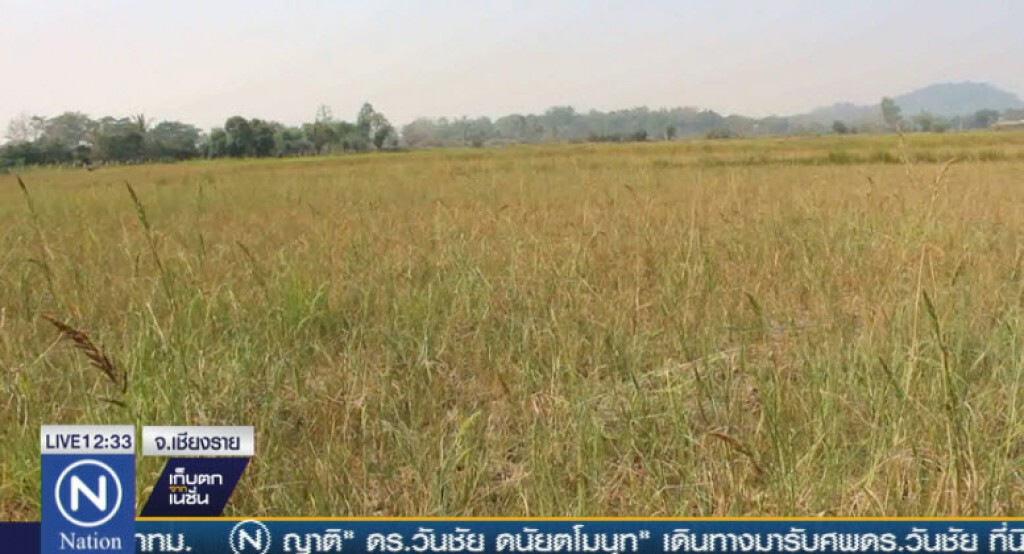 "แม่ข้าวต้ม" แล้งสุดในรอบ 40 ปี "แม่ข้าวต้ม" แล้งสุดในรอบ 40 ปี