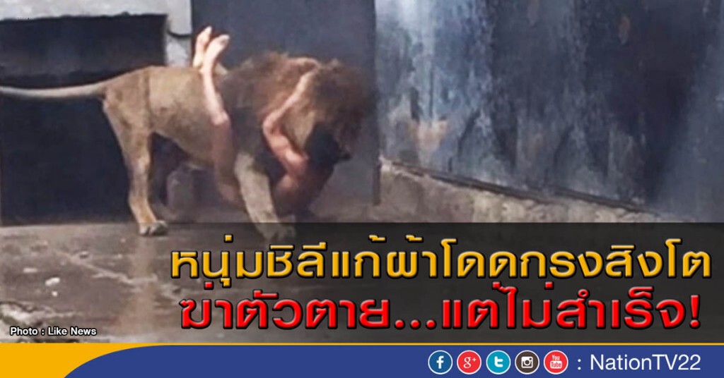 หนุ่มชิลีแก้ผ้าโดดกรงสิงโตฆ่าตัวตาย...แต่ไม่สำเร็จ! หนุ่มชิลีแก้ผ้าโดดกรงสิงโตฆ่าตัวตาย...แต่ไม่สำเร็จ!