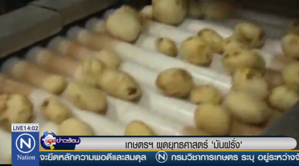 เกษตรฯ ผุดยุทธศาสตร์ "มันฝรั่ง" เกษตรฯ ผุดยุทธศาสตร์ "มันฝรั่ง"