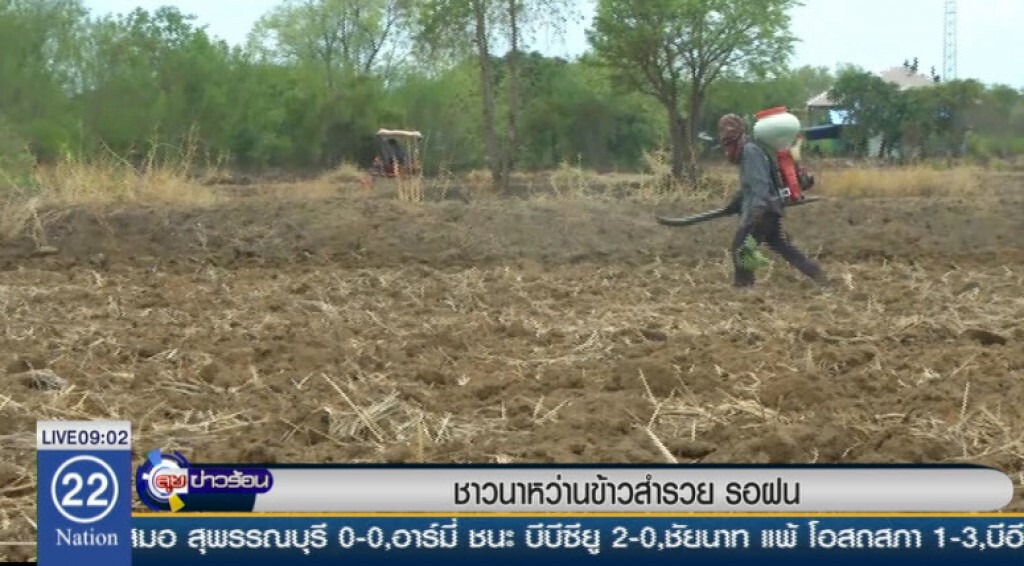 ชาวนาหว่านข้าวสำรวย รอฝน ชาวนาหว่านข้าวสำรวย รอฝน