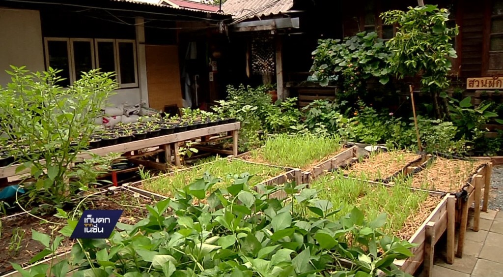 คนไทยเสี่ยงสารพิษตกค้างในผัก-ผลไม้