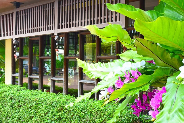 อร่อยปักหมุด : ภัทรา (Patara Fine Thai Cuisine) ร้านอาหารไทยร่วมสมัย ทองหล่อ 19