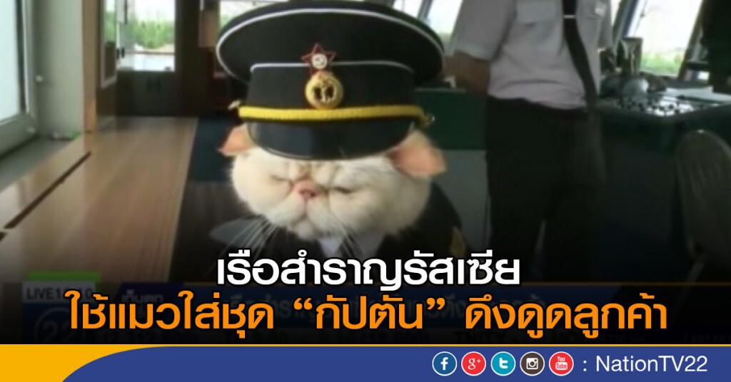 เรือสำราญรัสเซีย ใช้แมวดึงดูดลูกค้า เรือสำราญรัสเซีย ใช้แมวดึงดูดลูกค้า
