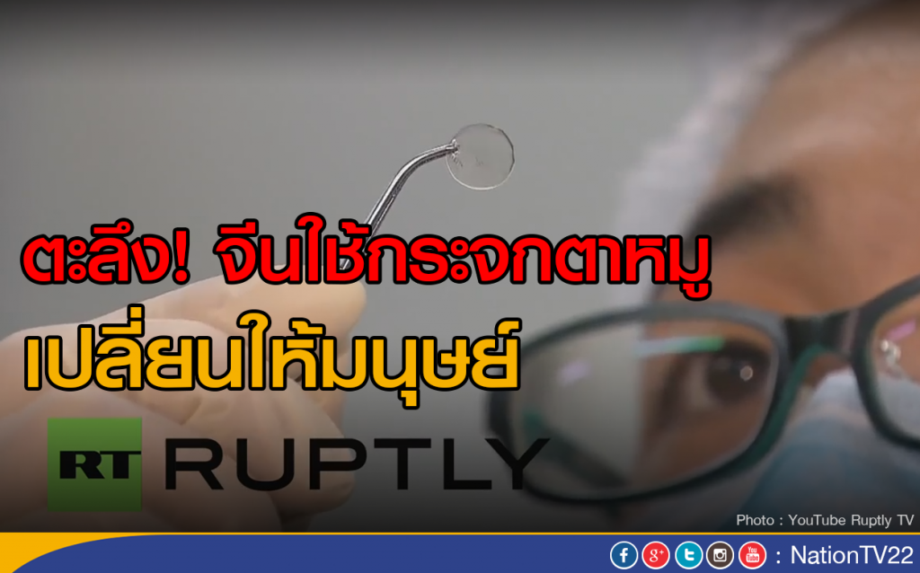 จีนใช้กระจกตาหมู เปลี่ยนให้มนุษย์