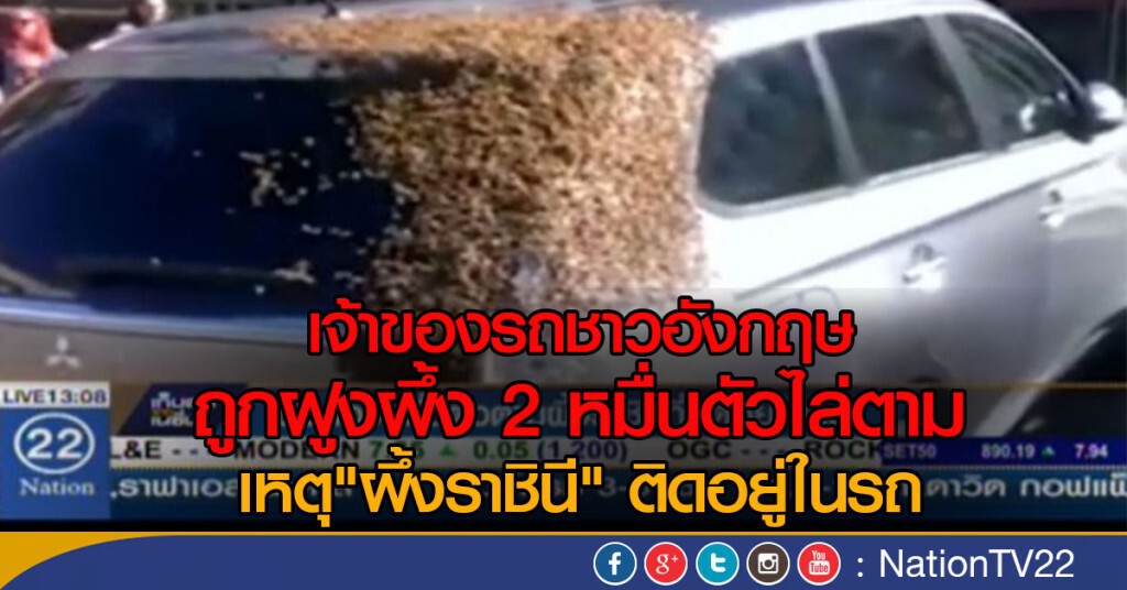 ผึ้งสองหมื่นตัว ตามผึ้งราชินีที่ติดอยู่ในรถ ผึ้งสองหมื่นตัว ตามผึ้งราชินีที่ติดอยู่ในรถ