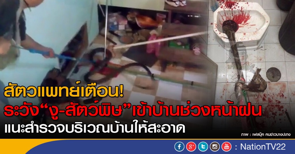 สัตวแพทย์เตือน! ระวัง "งู-สัตว์พิษ" เข้าบ้านช่วงหน้าฝน สัตวแพทย์เตือน! ระวัง "งู-สัตว์พิษ" เข้าบ้านช่วงหน้าฝน