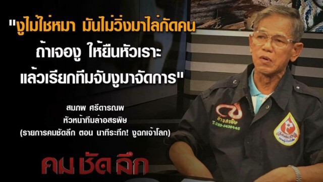 คม ชัด ลึก : นาทีระทึก! งูฉกเจ้าโลก
