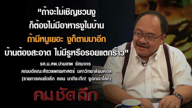 คม ชัด ลึก : นาทีระทึก! งูฉกเจ้าโลก