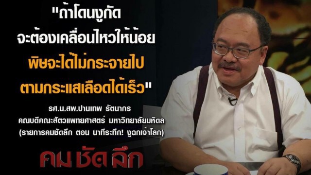 คม ชัด ลึก : นาทีระทึก! งูฉกเจ้าโลก