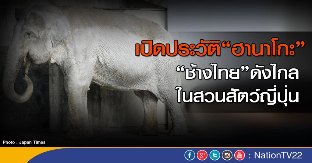 เปิดประวัติ"ฮานาโกะ" "ช้างไทย"ดังไกลในสวนสัตว์ญี่ปุ่น