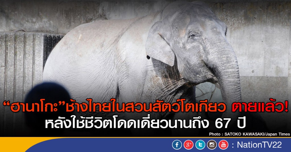 "ฮานาโกะ"  ช้างไทยในสวนสัตว์โตเกียว ตายแล้ว! หลังใช้ชีวิตโดดเดี่ยวนานถึง 67 ปี