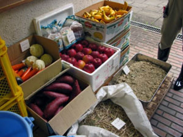 เปิดประวัติ"ฮานาโกะ" "ช้างไทย"ดังไกลในสวนสัตว์ญี่ปุ่น