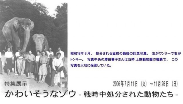 เปิดประวัติ"ฮานาโกะ" "ช้างไทย"ดังไกลในสวนสัตว์ญี่ปุ่น