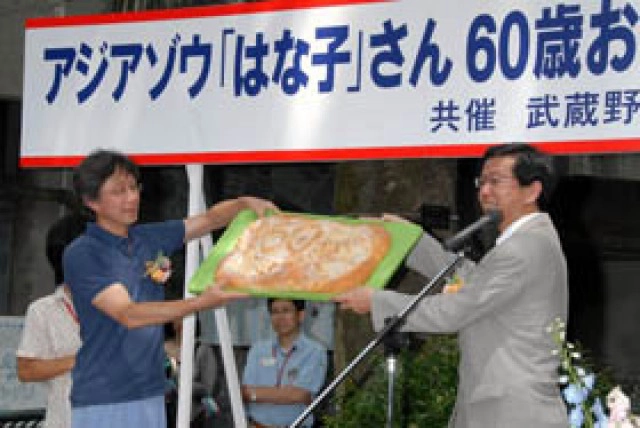 เปิดประวัติ"ฮานาโกะ" "ช้างไทย"ดังไกลในสวนสัตว์ญี่ปุ่น