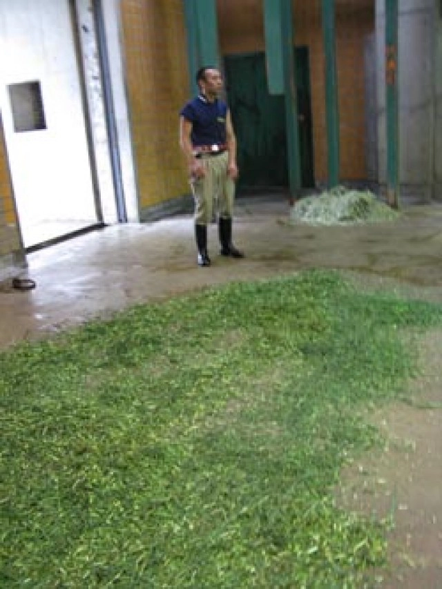 เปิดประวัติ"ฮานาโกะ" "ช้างไทย"ดังไกลในสวนสัตว์ญี่ปุ่น