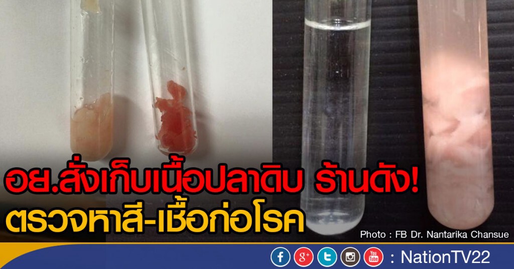 อย.สั่งเก็บเนื้อปลาดิบ ร้านดัง!
ตรวจหาสี-เชื้อก่อโรค อย.สั่งเก็บเนื้อปลาดิบ ร้านดัง!
ตรวจหาสี-เชื้อก่อโรค