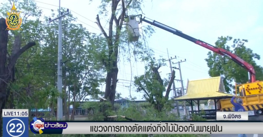 แขวงการทางพิจิตร ตัดแต่งกิ่งไม้ ป้องกันพายุฝน