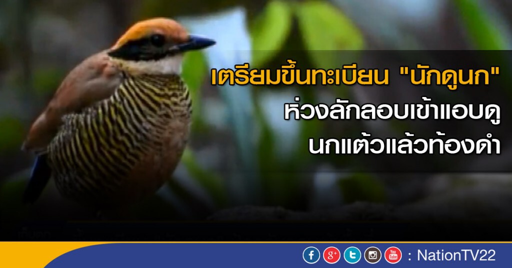ขึ้นทะเบียน "นักดูนก" ป้องกันลอบเข้าพื้นที่ ขึ้นทะเบียน "นักดูนก" ป้องกันลอบเข้าพื้นที่