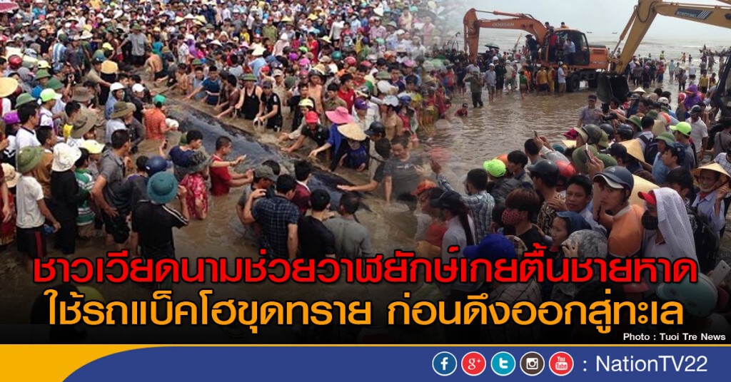 ชาวเวียดนามแห่ช่วยวาฬยักษ์เกยตื้น