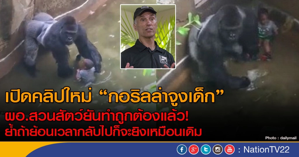 เปิดคลิปใหม่ "กอริลล่าจูงเด็ก" ผอ.สวนสัตว์ยันทำถูกต้องแล้ว