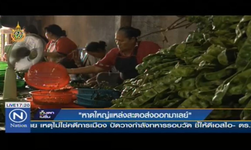 "หาดใหญ่" แหล่งสะตอส่งออกมาเลย์