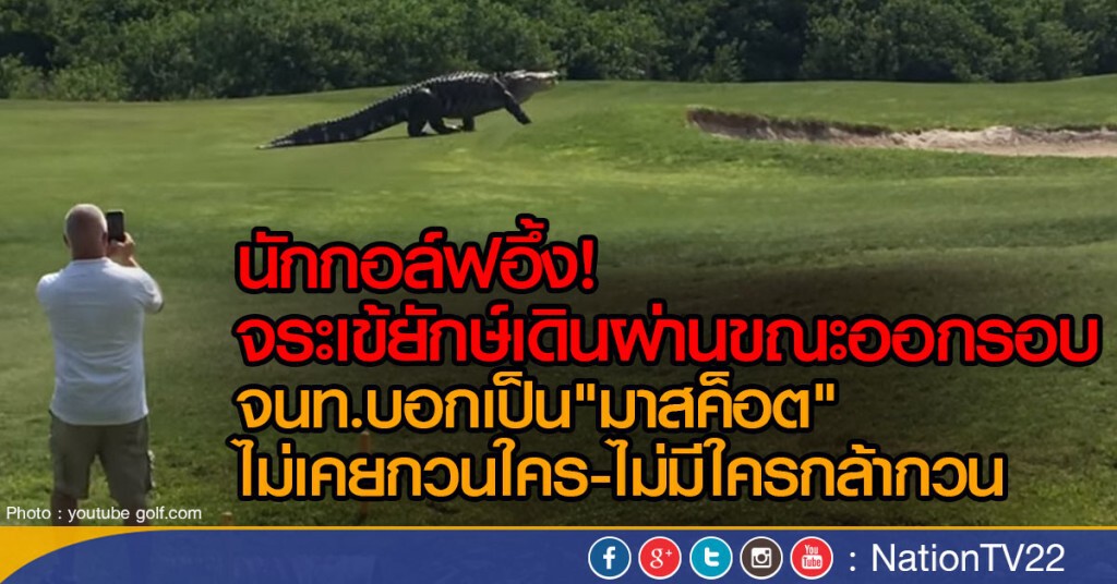 นักกอล์ฟอึ้ง! จระเข้ยักษ์เดินผ่าน ขณะออกรอบ
จนท.บอกเป็น"มาสค็อต" ไม่เคยกวนใคร -ไม่มีใครกล้ากวน นักกอล์ฟอึ้ง! จระเข้ยักษ์เดินผ่าน ขณะออกรอบ
จนท.บอกเป็น"มาสค็อต" ไม่เคยกวนใคร -ไม่มีใครกล้ากวน