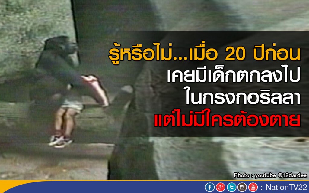 รู้หรือไม่ ..เมื่อ 20 ปีก่อนเคยมีเด็กตกลงไปในกรงกอริลลา แต่ไม่มีใครต้องตาย