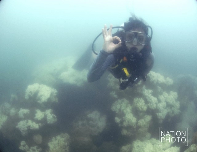 พบปะการังฟอกขาวเกาะมันใน-หมู่เกาะเสม็ด รุนแรง!