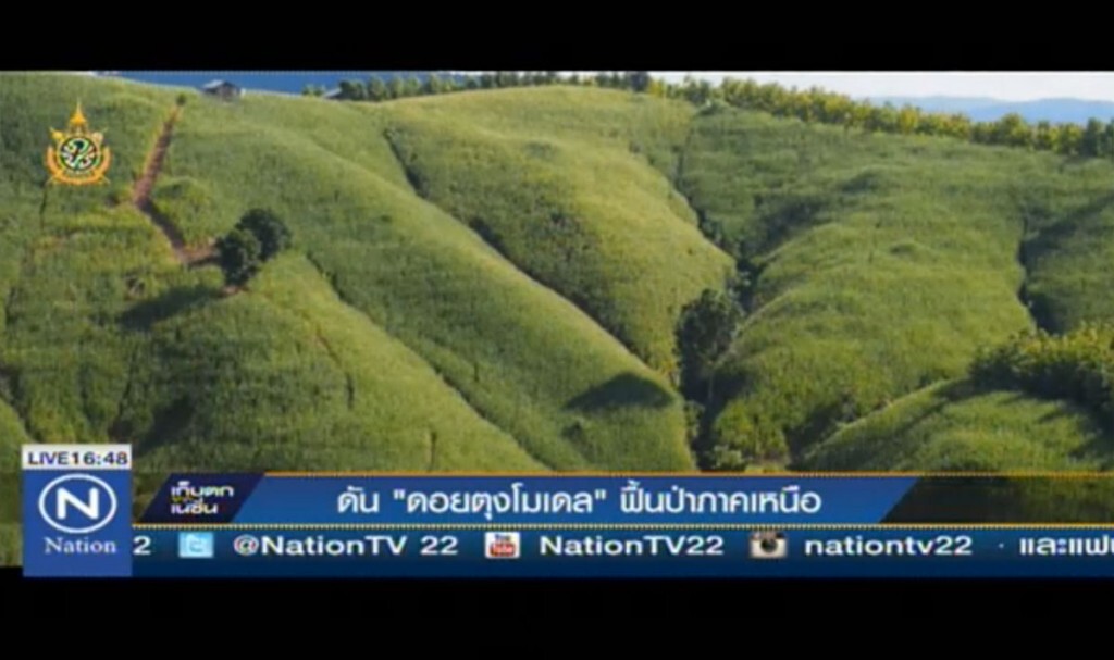 ดัน "ดอยตุงโมเดล" ฟื้นป่าภาคเหนือ