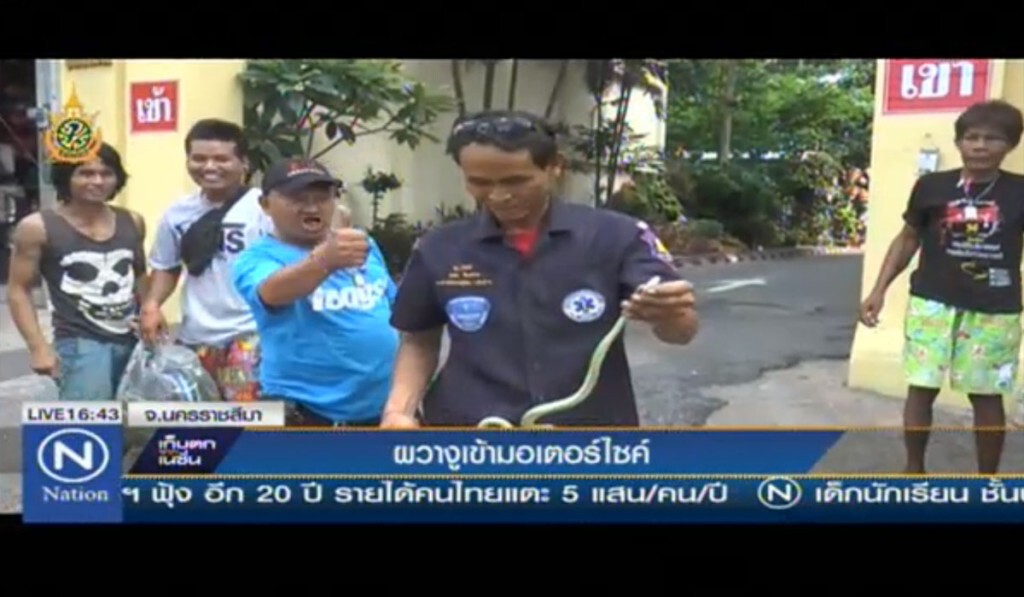 ผวางูเข้ามอเตอร์ไซด์