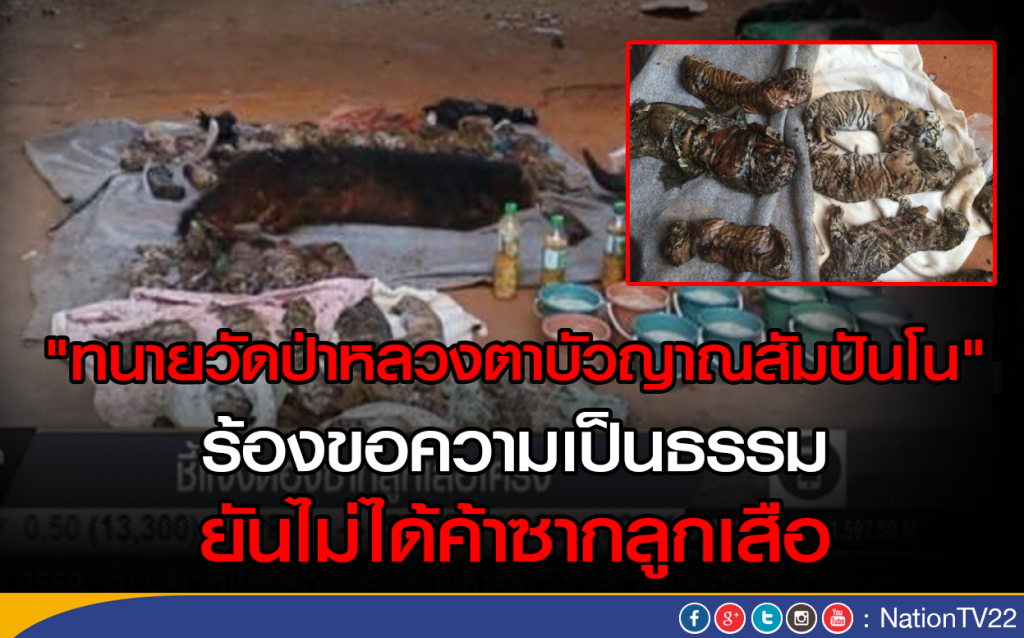 ทนายวัดเสือร้องขอความเป็นธรรม ยันไม่ได้ค้าซากลูกเสือ